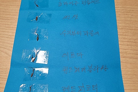 퐁달 이미지