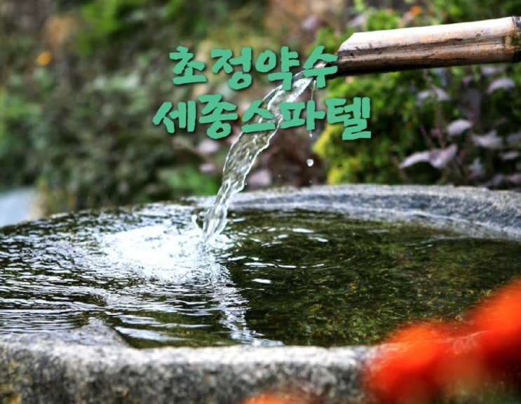  초정약수 세종스파텔 세계 대표 광천수 왕의 온천