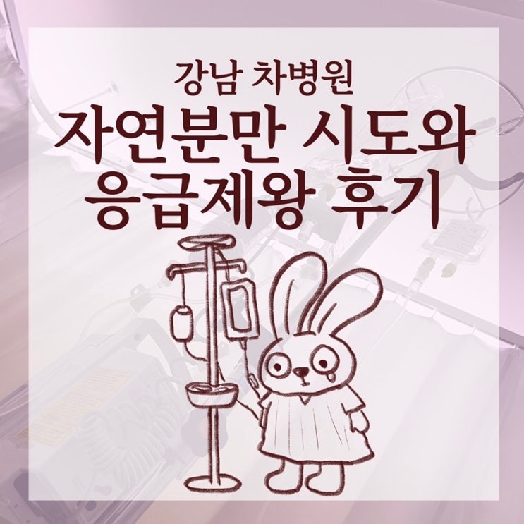  [아기가 태어났어요] 강남 차병원 자연분만 시도 그리고 응급제왕절개