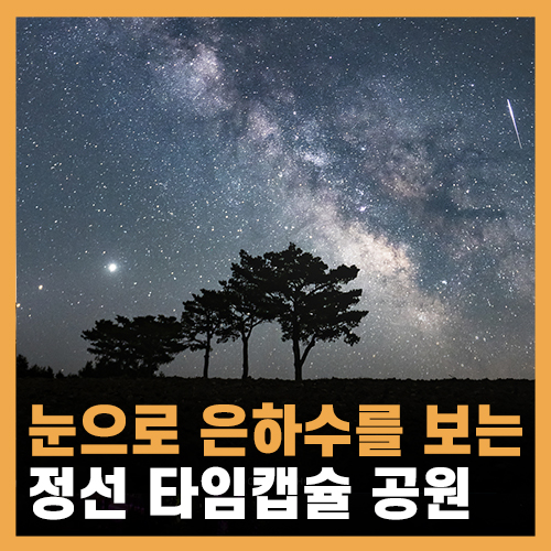  눈으로 은하수를 보고싶다면, 정선 새비재 타임캡슐 공원! + 다녀온 후기들