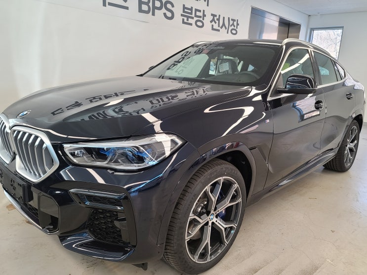  2023 BMW X6 xDrive 40i 분당 궁내 전시장 신차 검수 후기