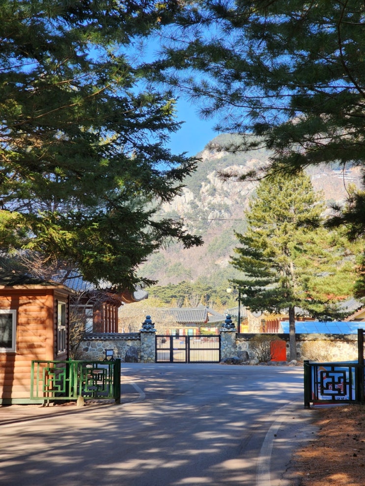  청도 애견동반 여행, 청도 드라이브 코스 운문댐 AND 운문사에서 사리암 가는길 산책