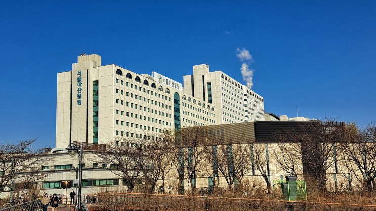  서울아산병원 식당 금강산 후기