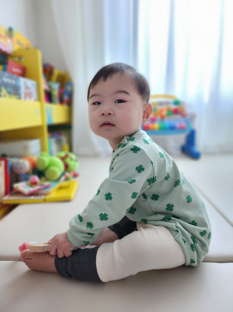  돌 선물 사이즈, 블루독 클로버 상하세트 3세 사이즈 리뷰