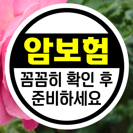  온라인암보험 오해하지 말아야 할 부분들