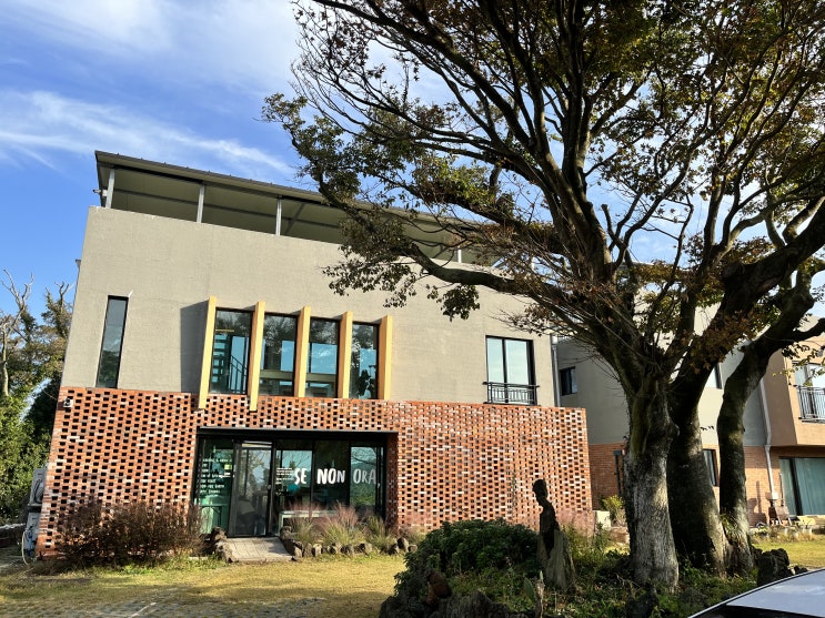  탐방/제주 브런치 카페/애견동반 카페/세논오라/내돈내산