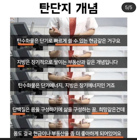  탄수화물/단백질/지방 :: 자산에 비유한다면?