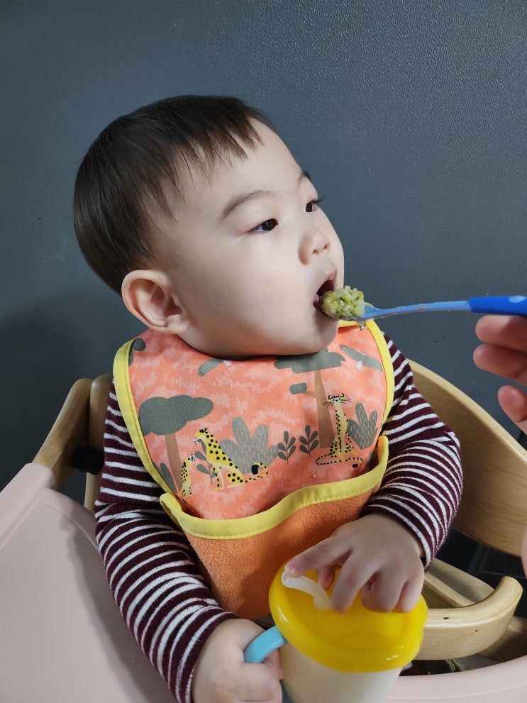  시판이유식 추천, 설연휴 배냇밀 시판이유식 시작할때!
