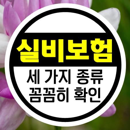  실비보험 종류 총 세 가지인데 급여 비급여 실비 자기부담금 설명 잘 들으셔야 해요!