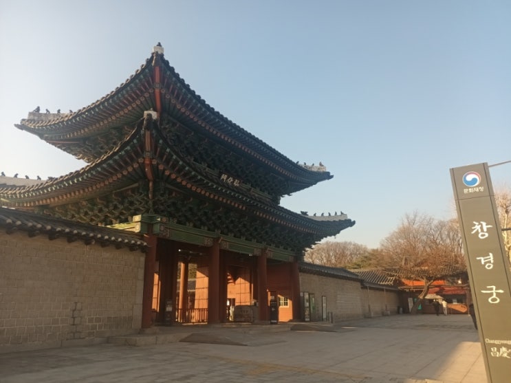  [서울 4대궁] 도심 속 정원, 창경궁과 대온실 둘러보기 (feat. 관람료, 주차 요금, 역사)
