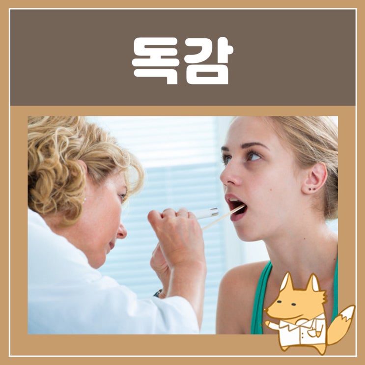  독감검사 방법 실비 비용 : A형 B형 독감 증상 유아 독감 백신 주사 예방접종 부작용, 인플루엔자