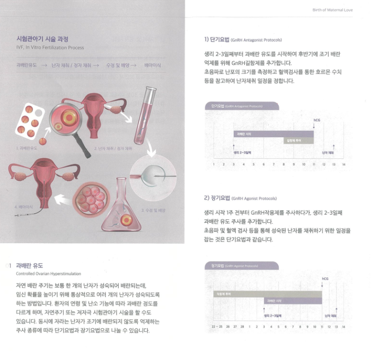  에이치아이여성의원- 질환별 안내 리플릿