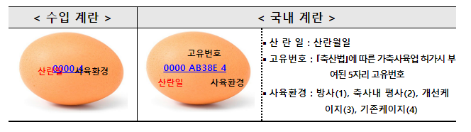 신선란 초도물량 국내 도착, 이르면 15일부터 시중 공급 신선란 초도물량 국내 도착, 이르면 15일부터 시중 공급