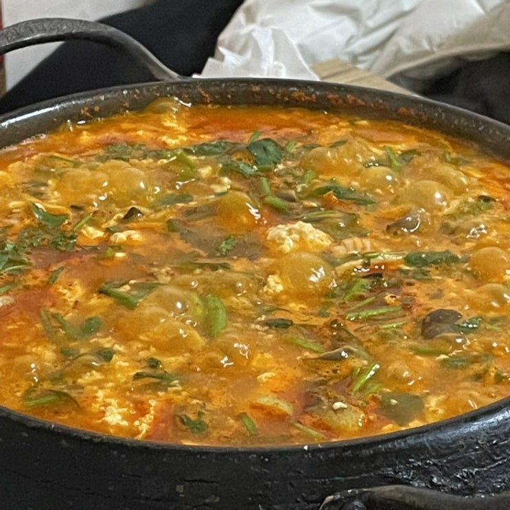  [강릉] 칼칼한 순두부 전골 맛집 | 9남매두부집