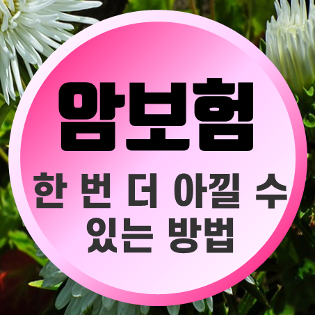  순수보장형암보험 한 번 더 아낄 수 있는 방법을 알려드릴게요.