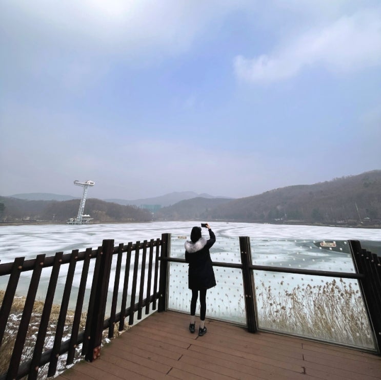  겨울에도 매력적인 율동공원 산책하기 : 분당 데이트 코스/추천 주차장/오리 스팟