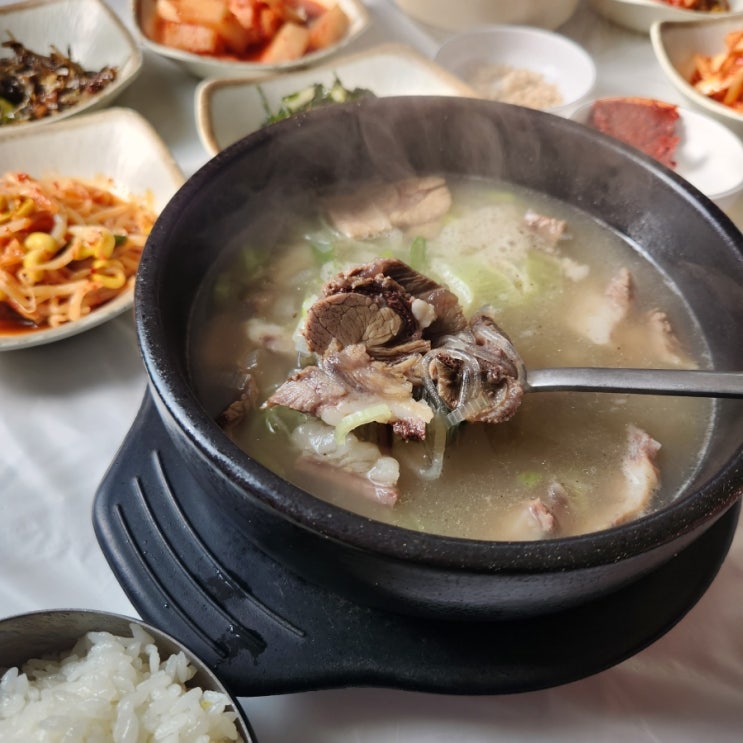 태안 [일억조가든] 로컬맛집입니다 내장탕 소머리국밥