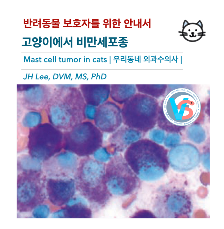  [동물병원안내서] 비만세포종 Mast cell tumor (고양이, cat) - 반려동물 보호자를 위한 안내서, 우리동네 외과수의사