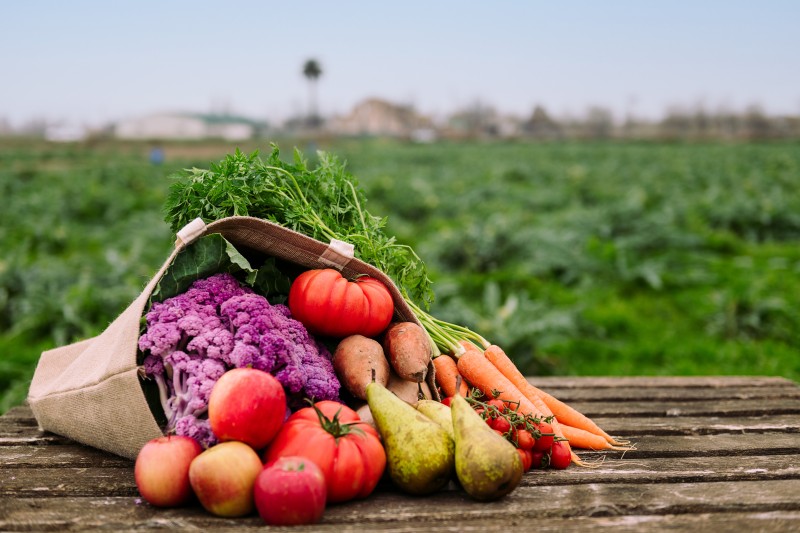 가지 영어로, 잘 생각나지 않는 야채 영어 모음! : 네이버 블로그