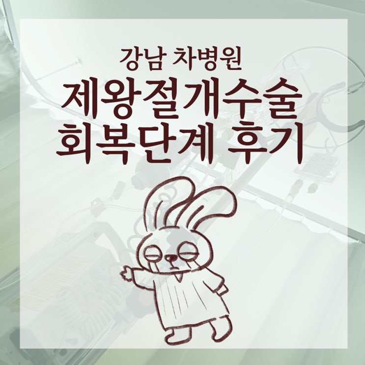  [강남차병원 제왕절개 입원 후기] 제왕절개후 회복 단계