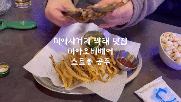  미아사거리 맥주 미아오비베어 원조 짝태 맛집 안주가 맛있는 술집