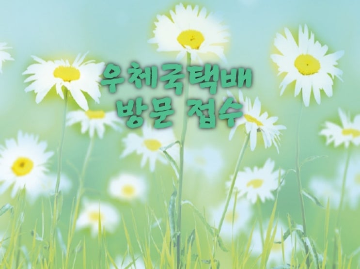  우체국택배방문접수 집에서 택배 보내는법 요금 할인받기