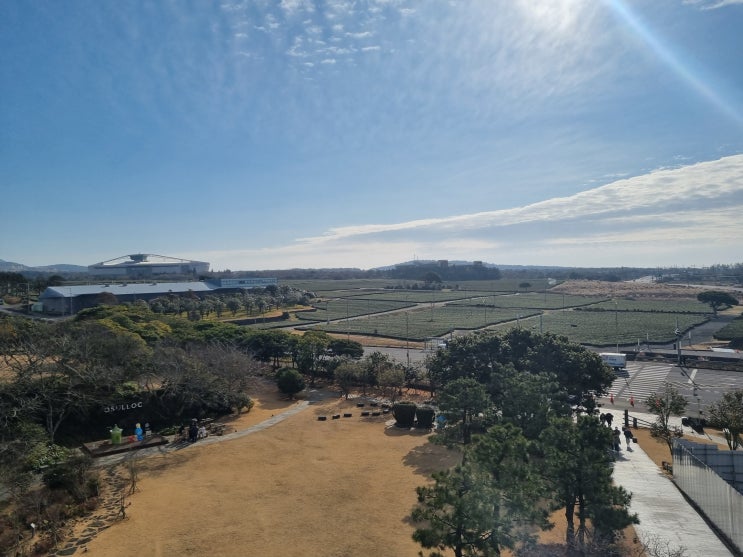  제주도 여행 선물 사기 좋은 오설록 티뮤지엄 리뷰!!