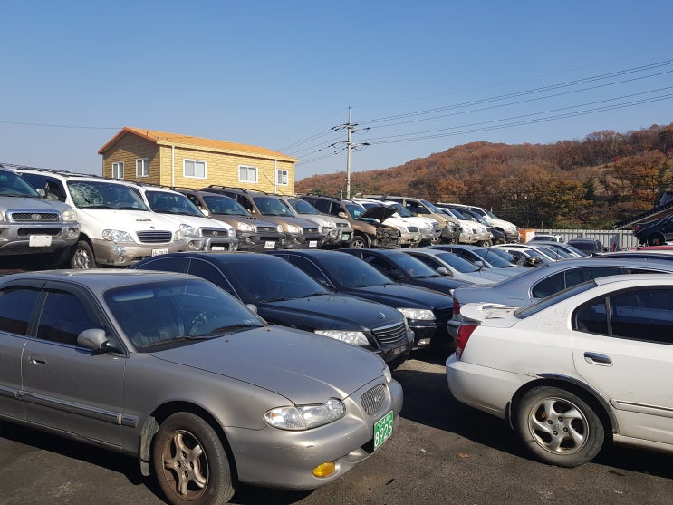  아반떼md 폐차 압류 많은차량 폐차방법