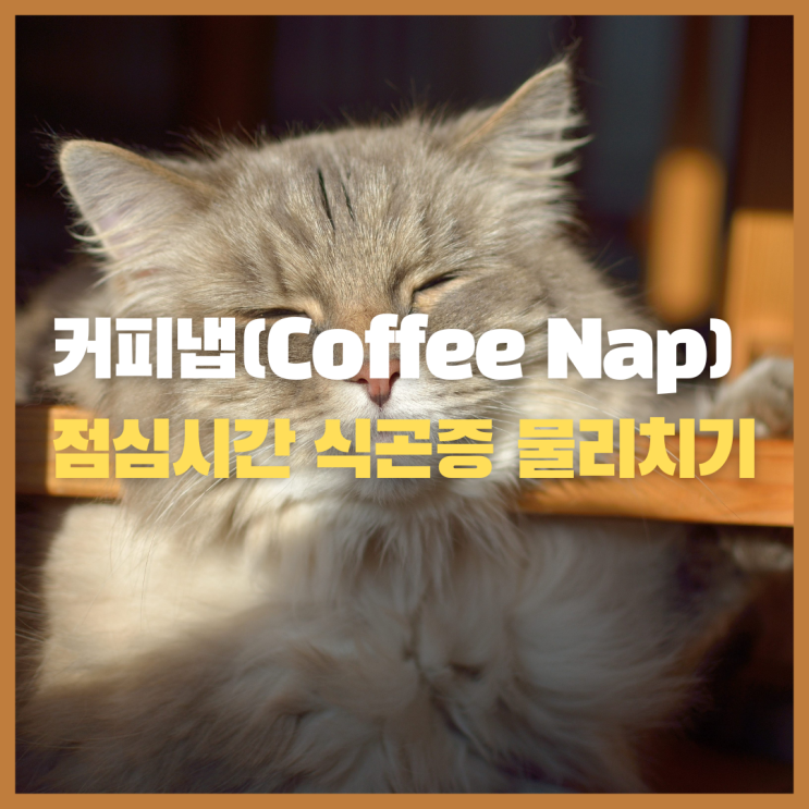 커피냅(Coffee Nap) 활용하여 식곤증 날리기