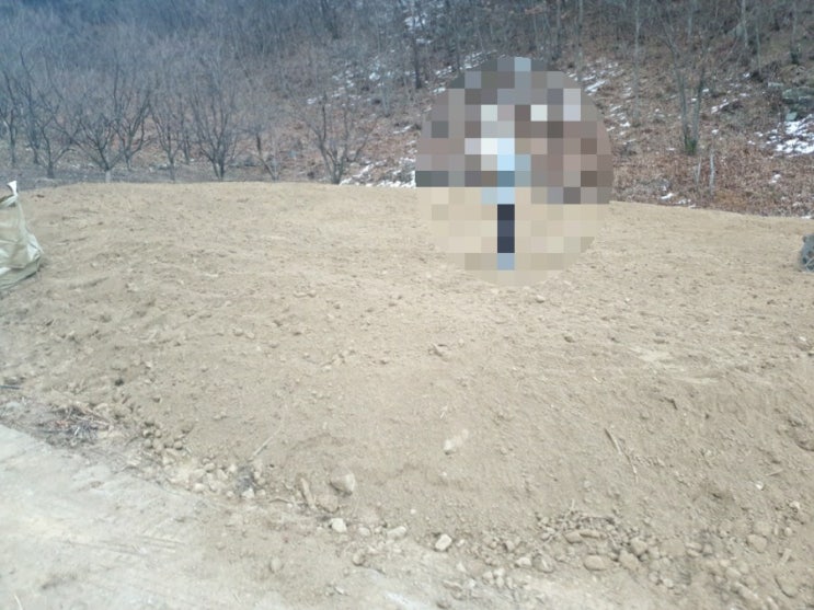  2023년 김천시 부항면 파천리 강릉유공 가족묘원조성작업 비석 상석 축대 잔디조성 1일차공사 고인돌장묘개발장의사 #김천장의사 #2023년윤달 #윤달이장 #윤달개장 #김천윤달