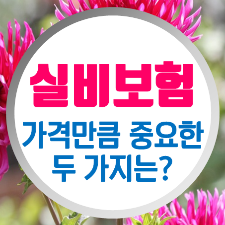  60대실비보험 가격만큼 중요하게 봐야 할 두 가지 조건은?