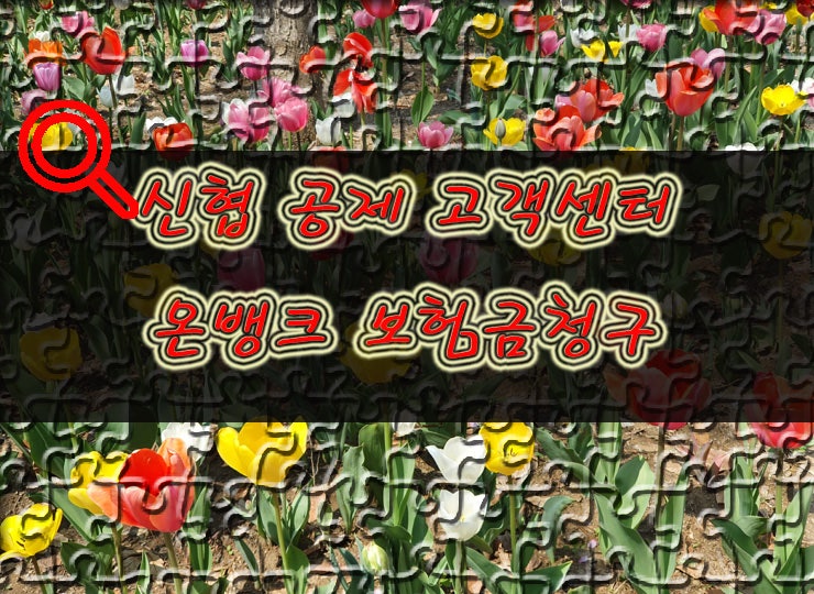 신협 고객센터 공제 보험금 청구, 온뱅크 전화번호