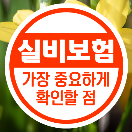 20대 실비보험 가입 시 가장 꼼꼼하게 확인해야 할 점은 뭘까?