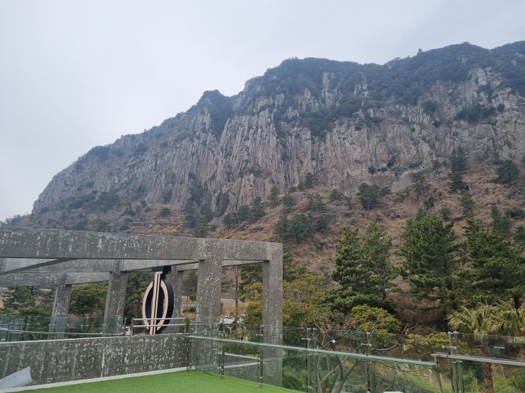  제주도 핫플레이스 산방산 아래 카페 원앤온리 리뷰!!