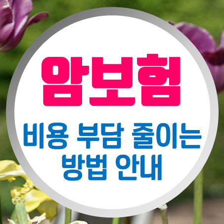  암보험료 절약하면서 가입할 수 있는 방법