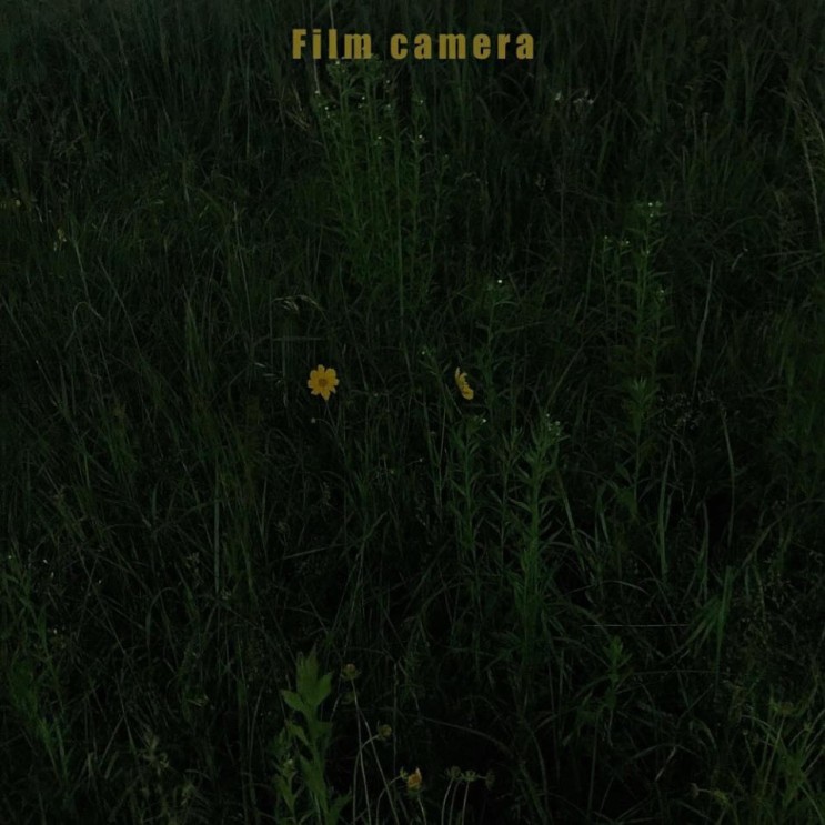지연 - Film camera [노래가사, 듣기, Audio]