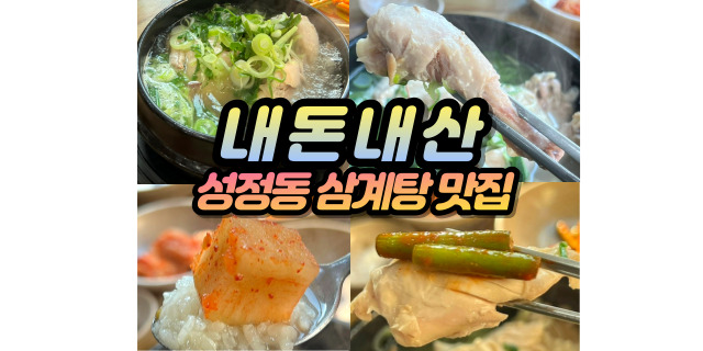 『내돈내산』 천안 성정동 삼계탕 맛집 토정삼계탕! 한식 식당 땡길때 여기 추천!