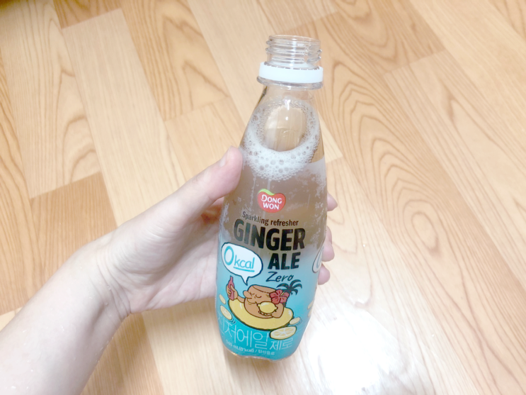 0칼로리 탄산음료 "진저에일 제로" 리뷰!