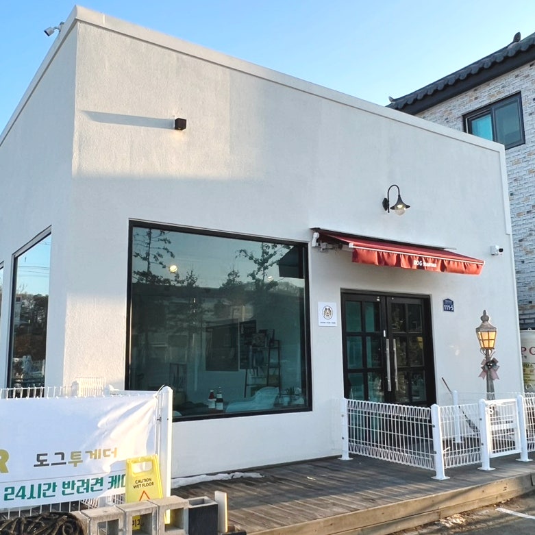 사진 3