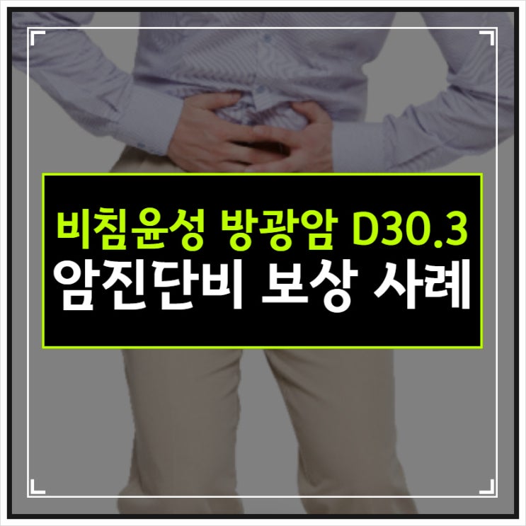 비침윤성 방광암 D30.3 C67.9 암진단비 손해사정 사례