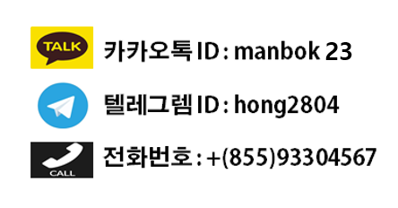  캄보디아 교통정보