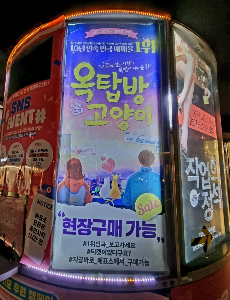 대학로 연극 추천!! 예매율 1위 연극 '옥탑방 고양이'