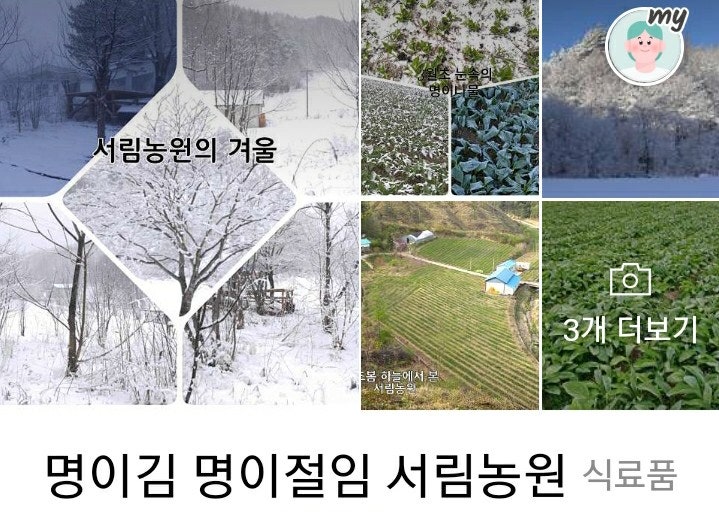 정골 사진 5