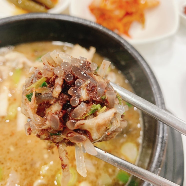  단양여행, 1박2일여행,순대사이에 마늘이 콕 박혀있는 백종원3대천왕에 나온 마늘순대국 맛집 '충청도 순대'(1)