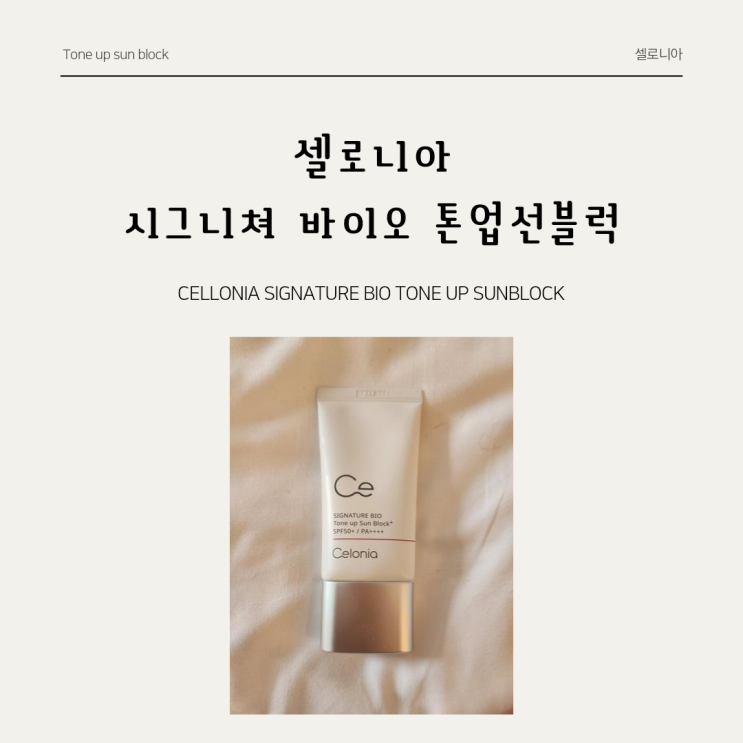  체험단사용해보고 좋아서 바꿔버린 셀로니아 * 셀로니아 시그니처 바이오 톤업선블럭