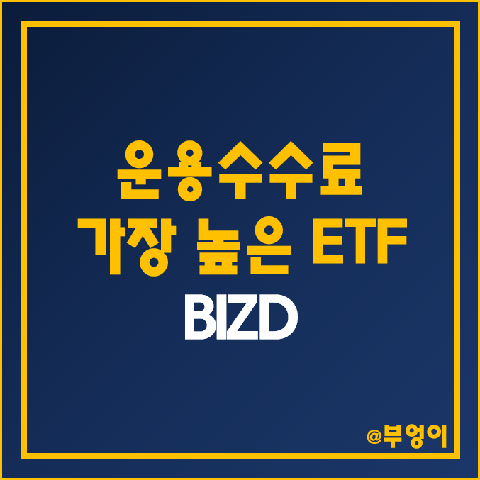 운용 수수료가 가장 높은 미국 고배당주 ETF - BIZD 주가 및 배당 수익률 (고배당, 금융주 및 사모펀드 관련주)