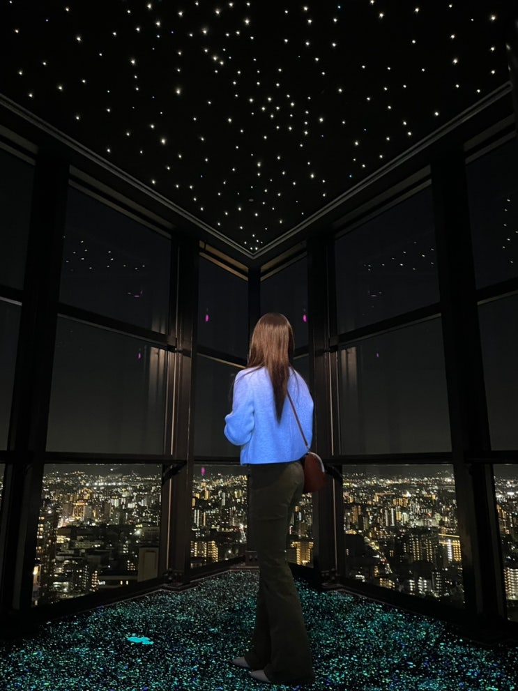  [후쿠오카 2박3일] 오호리공원, 후쿠커피, 모모치해변과 후쿠오카타워, 멘야카네토라