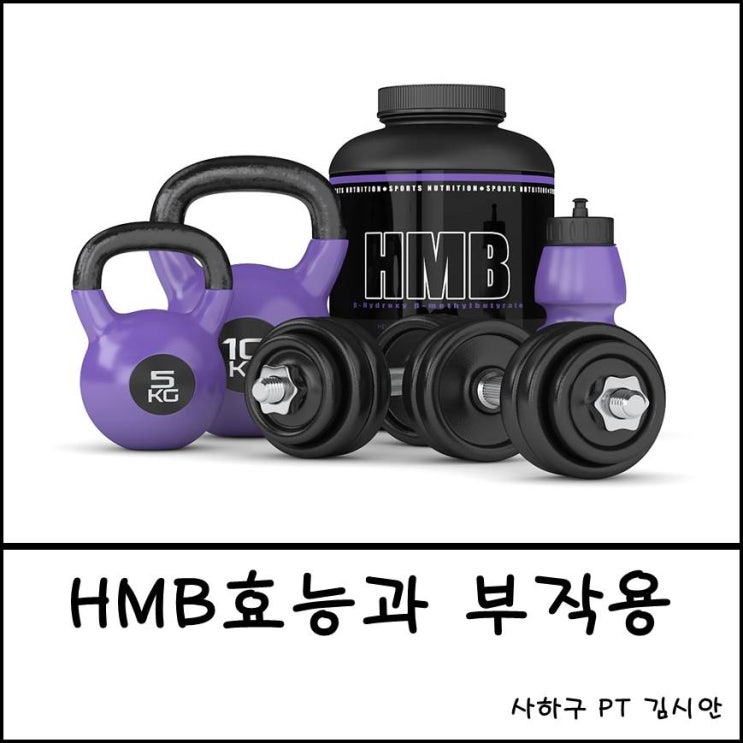 HMB 효능과 부작용 HMB 효능과 부작용