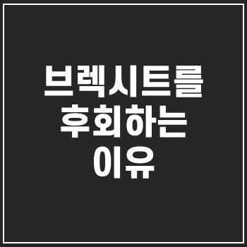  브렉시트(브랙시트)를 'bregret'하는 영국인들