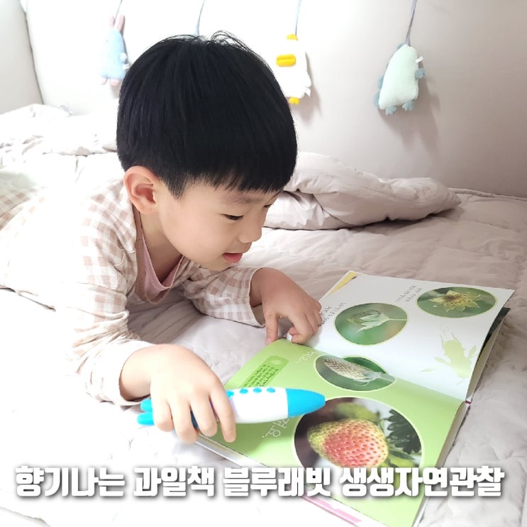  블루래빗 생생 자연관찰 전집 과일책에서 향기가 솔솔~